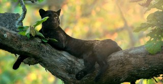 Об опасности стагнации